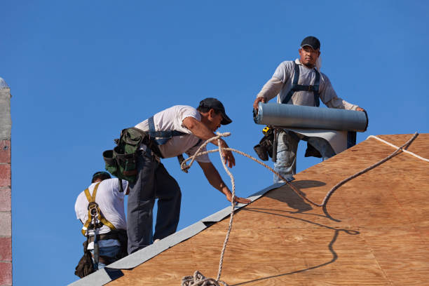 Best Roof Gutter Cleaning  in Miami, OK